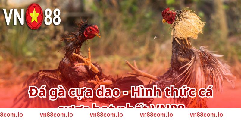 Đá gà cựa dao - Hình thức cá cược hot nhất VN88