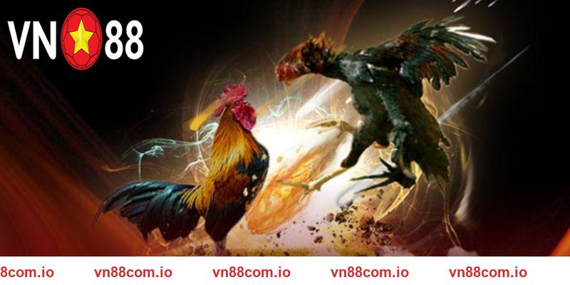 Đá Gà SV388 - Sảnh Cược Đỉnh Cao, Thưởng Hấp Dẫn Tại VN88