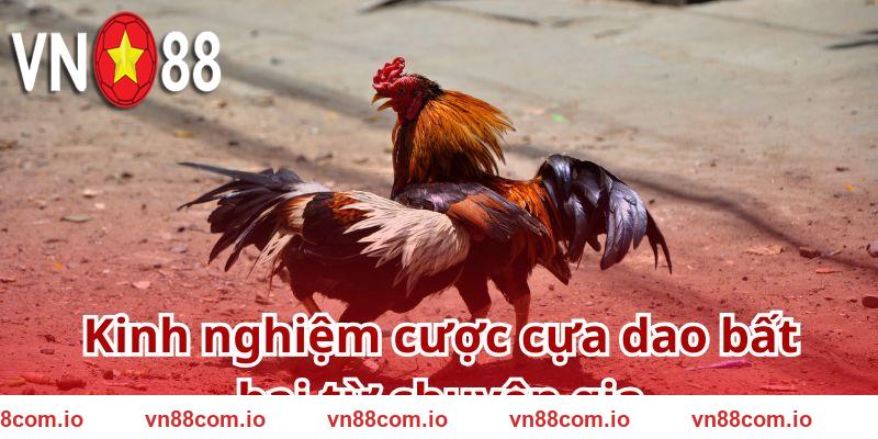 Top 3 chiến lược cá cược đá gà chuẩn xác, hiệu quả VN88